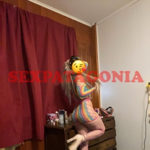 Escort DANNITA     VIP